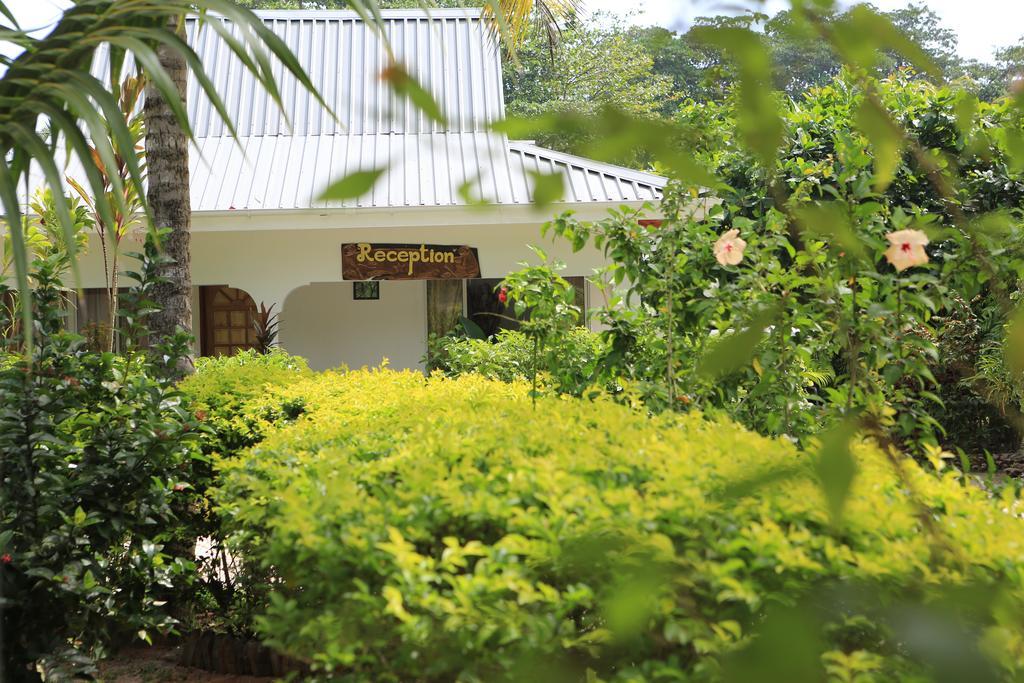 Villa Veuve Casadani Hotel 라디게 외부 사진